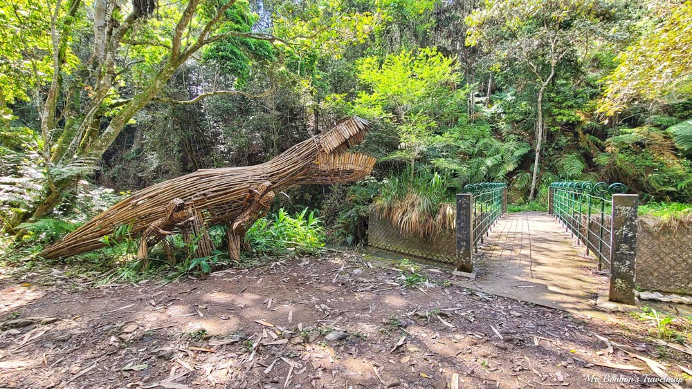親子步道推薦｜南投魚池-澀水森林步道，適合各年齡層、步道簡單易走，富含生物多樣性還能看到水上瀑布！