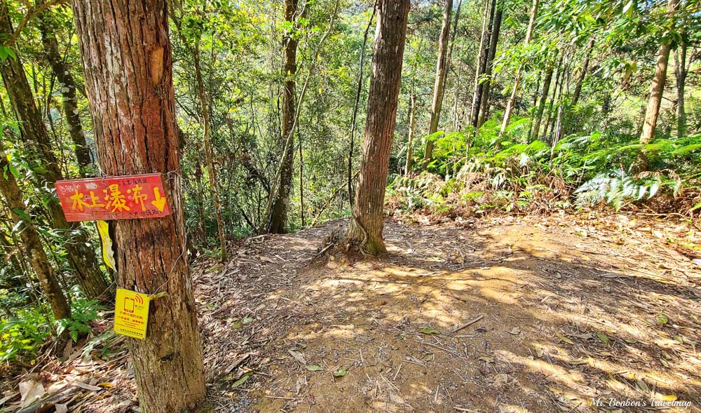 親子步道推薦｜南投魚池-澀水森林步道，適合各年齡層、步道簡單易走，富含生物多樣性還能看到水上瀑布！ @機票甜心甜甜哥