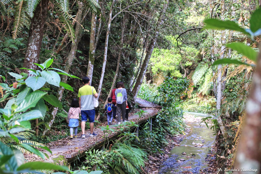 親子步道推薦｜南投魚池-澀水森林步道，適合各年齡層、步道簡單易走，富含生物多樣性還能看到水上瀑布！ @機票甜心甜甜哥