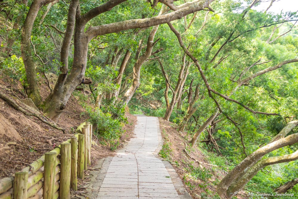 馬祖北竿｜台版奈良-大坵島，適合親子出遊踏青，還能近距離餵食梅花鹿，大坵交通行程攻略在這裡！ @機票甜心甜甜哥