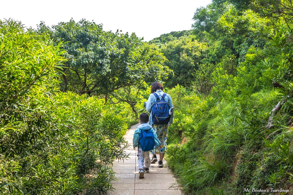 馬祖北竿｜台版奈良-大坵島，適合親子出遊踏青，還能近距離餵食梅花鹿，大坵交通行程攻略在這裡！ @機票甜心甜甜哥