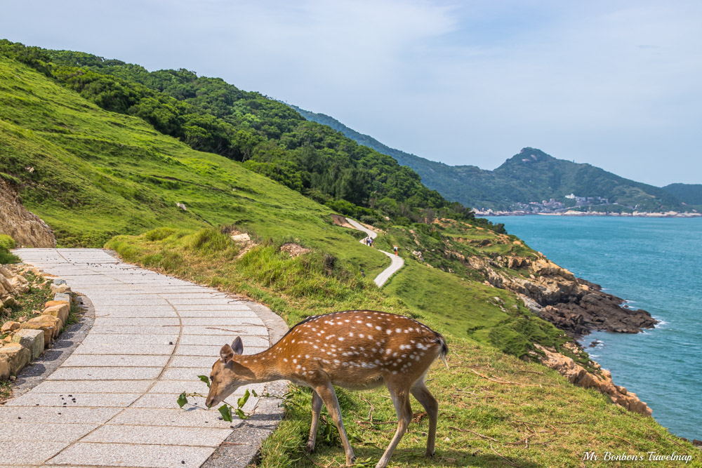 馬祖北竿｜台版奈良-大坵島，適合親子出遊踏青，還能近距離餵食梅花鹿，大坵交通行程攻略在這裡！ @機票甜心甜甜哥