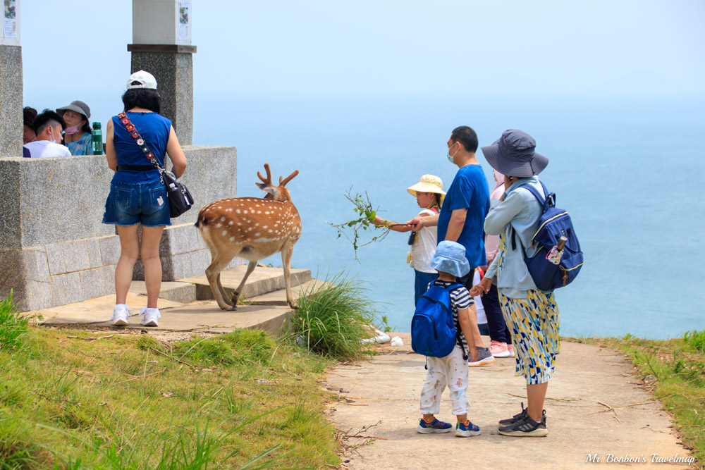 馬祖北竿｜台版奈良-大坵島，適合親子出遊踏青，還能近距離餵食梅花鹿，大坵交通行程攻略在這裡！ @機票甜心甜甜哥